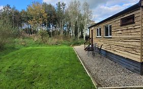 The Cabin Getaway